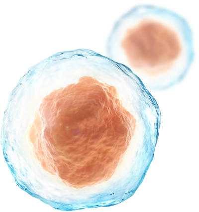 Picture of Cells