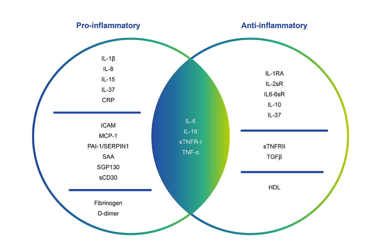 Pro-inflammatory/Anti-inflammatory chart